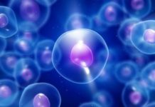 Qué es LUCA, el antepasado que dio origen a toda la vida en la Tierra (y por qué quizás lo estamos buscando en el lugar equivocado)