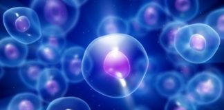 Qué es LUCA, el antepasado que dio origen a toda la vida en la Tierra (y por qué quizás lo estamos buscando en el lugar equivocado)