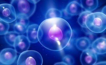 Qué es LUCA, el antepasado que dio origen a toda la vida en la Tierra (y por qué quizás lo estamos buscando en el lugar equivocado)