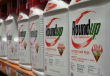 Bayer se hunde en bolsa tras una nueva derrota judicial de su herbicida Roundup