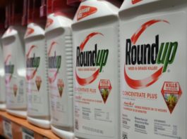 Bayer se hunde en bolsa tras una nueva derrota judicial de su herbicida Roundup