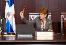 Diputada Lucía Medina arenga peledeístas por la reelección de Danilo y de “todos”