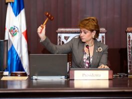 Diputada Lucía Medina arenga peledeístas por la reelección de Danilo y de “todos”