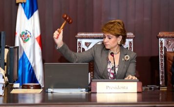 Diputada Lucía Medina arenga peledeístas por la reelección de Danilo y de “todos”