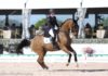 Yvonne Losos se destaca en Gran Premio Palm Beach Dressage Dervy