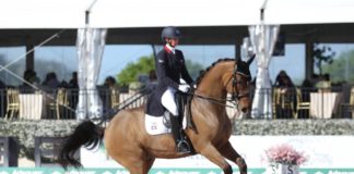 Yvonne Losos se destaca en Gran Premio Palm Beach Dressage Dervy