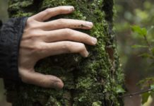 Bosques y educación, catalizadores para transformar nuestro mundo