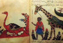 Al-Jahiz, el filósofo musulmán que tuvo la idea de la evolución 1.000 años antes que Darwin