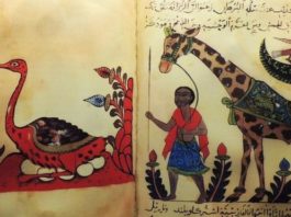 Al-Jahiz, el filósofo musulmán que tuvo la idea de la evolución 1.000 años antes que Darwin