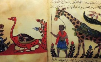 Al-Jahiz, el filósofo musulmán que tuvo la idea de la evolución 1.000 años antes que Darwin