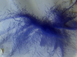 Marte muestra sus ‘arañas peludas’ y diablos de polvo en nuevas espectaculares imágenes en 3D