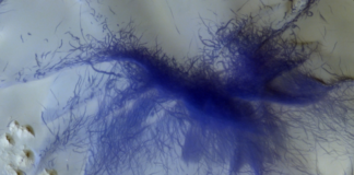 Marte muestra sus ‘arañas peludas’ y diablos de polvo en nuevas espectaculares imágenes en 3D