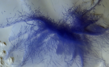 Marte muestra sus ‘arañas peludas’ y diablos de polvo en nuevas espectaculares imágenes en 3D