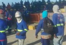 Video: Protestan trabajadores de Punta Catalina y esta es la razón