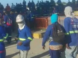 Video: Protestan trabajadores de Punta Catalina y esta es la razón