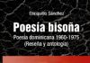 Mis palabras en la presentación del libro «Poesía bisoña (1960-1975)», de Enriquillo Sánchez
