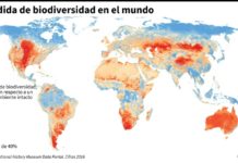 Hasta un millón de especies podrían verse amenazadas de extinción