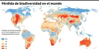 Hasta un millón de especies podrían verse amenazadas de extinción