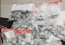 Oficiales de Aduanas y Protección Fronteriza de los Estados Unidos en PR incauta más de US$500,000 a ciudadanos de RD