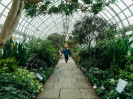 El poder sanador de los jardines