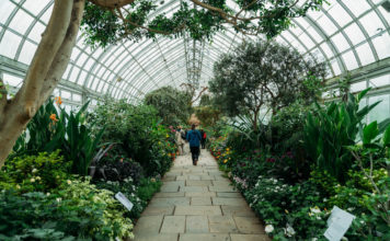 El poder sanador de los jardines