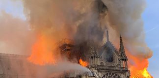 Arquitecto boricua estima que se podrá restaurar la catedral de Notre Dame