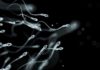 Semen de hombres, ‘peor’ ahora que hace 40 años: Estudio