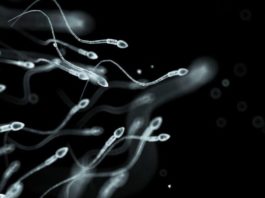 Semen de hombres, ‘peor’ ahora que hace 40 años: Estudio