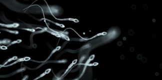 Semen de hombres, ‘peor’ ahora que hace 40 años: Estudio