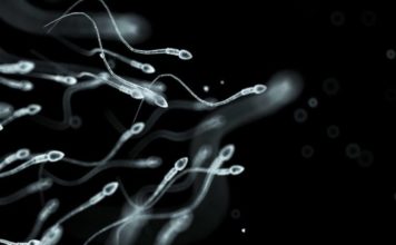 Semen de hombres, ‘peor’ ahora que hace 40 años: Estudio