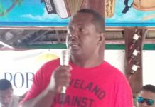 Realizarán Copa de Béisbol AA