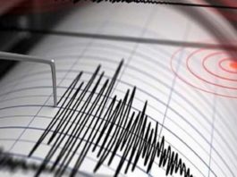 Un sismo de 8,0 sacude Perú y se siente en Ecuador, Colombia y Brasil