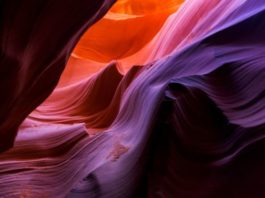 La fascinante historia de cómo el sexo nació en América hace unos 250 millones de años