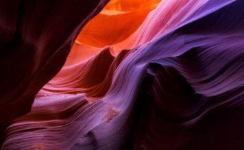 La fascinante historia de cómo el sexo nació en América hace unos 250 millones de años