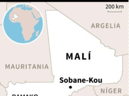 Casi 100 muertos y 19 desaparecidos en matanza en una aldea de Malí