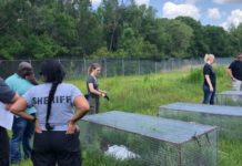 Qué son las «granjas de cadáveres» donde los cuerpos humanos se descomponen a la intemperie (y por qué causan controversia incluso entre científicos)