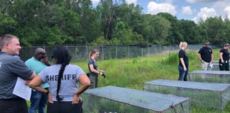 Qué son las «granjas de cadáveres» donde los cuerpos humanos se descomponen a la intemperie (y por qué causan controversia incluso entre científicos)