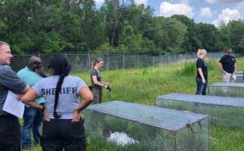 Qué son las «granjas de cadáveres» donde los cuerpos humanos se descomponen a la intemperie (y por qué causan controversia incluso entre científicos)