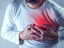 Ataques al corazón: por qué los humanos somos casi la única especie que sufre esta condición