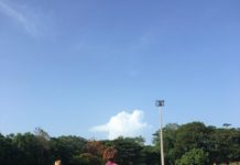 Sedofútbol ante el reto de buscar cupo olímpico