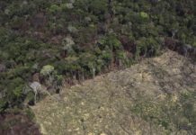 El Brasil de Bolsonaro, villano ambiental planetario