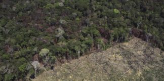 El Brasil de Bolsonaro, villano ambiental planetario