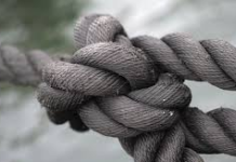 A propósito de la problemática interna del PLD