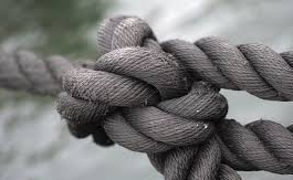 A propósito de la problemática interna del PLD