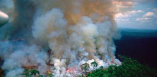 ‘Los pulmones de la Tierra están en llamas’: Brasil enfrenta críticas mundiales por los incendios en la Amazonía