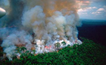 ‘Los pulmones de la Tierra están en llamas’: Brasil enfrenta críticas mundiales por los incendios en la Amazonía