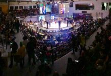 Fighting Force: ¡a casa llena!