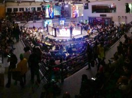Fighting Force: ¡a casa llena!