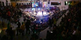 Fighting Force: ¡a casa llena!