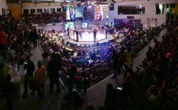 Fighting Force: ¡a casa llena!